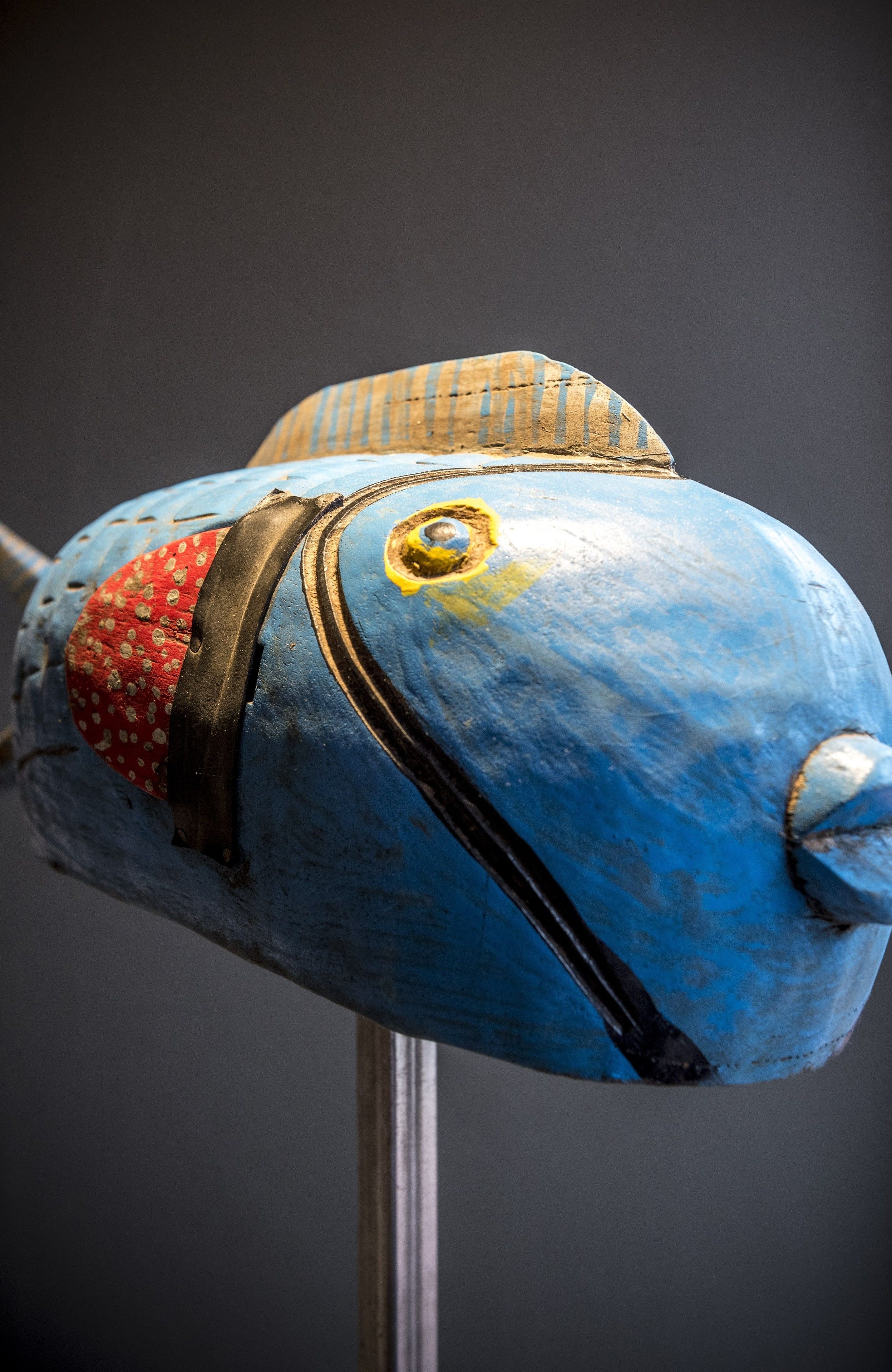 A blue object with a red and yellow patch, possibly a piece of equipment or machinery.