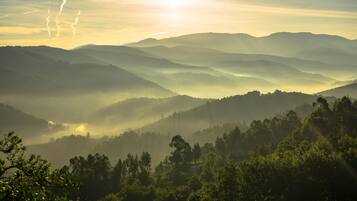 A mountainous landscape with layered hills and dense forest.