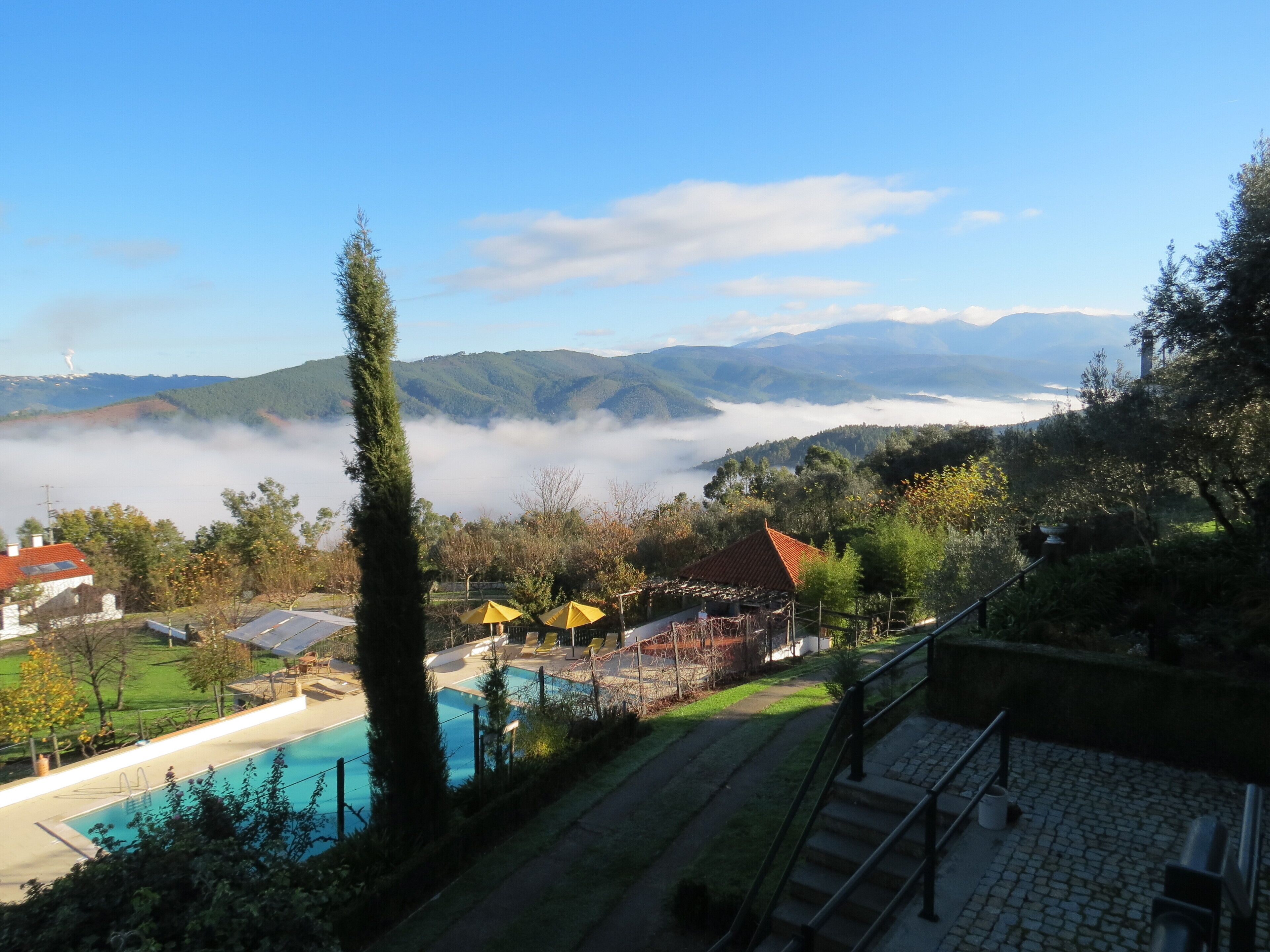Zona de piscina con vistas a montañas y un bosque.