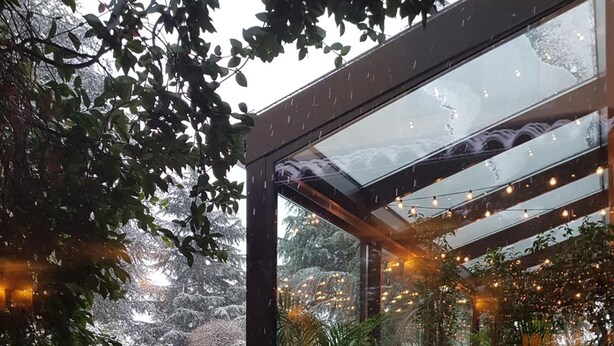Une véranda dotée d’un toit en verre, de plantes en pot et offrant une vue sur un jardin enneigé.