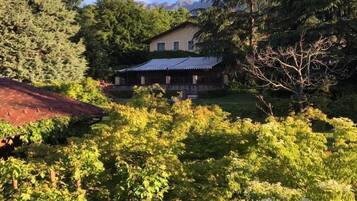A house surrounded by dense greenery and trees.