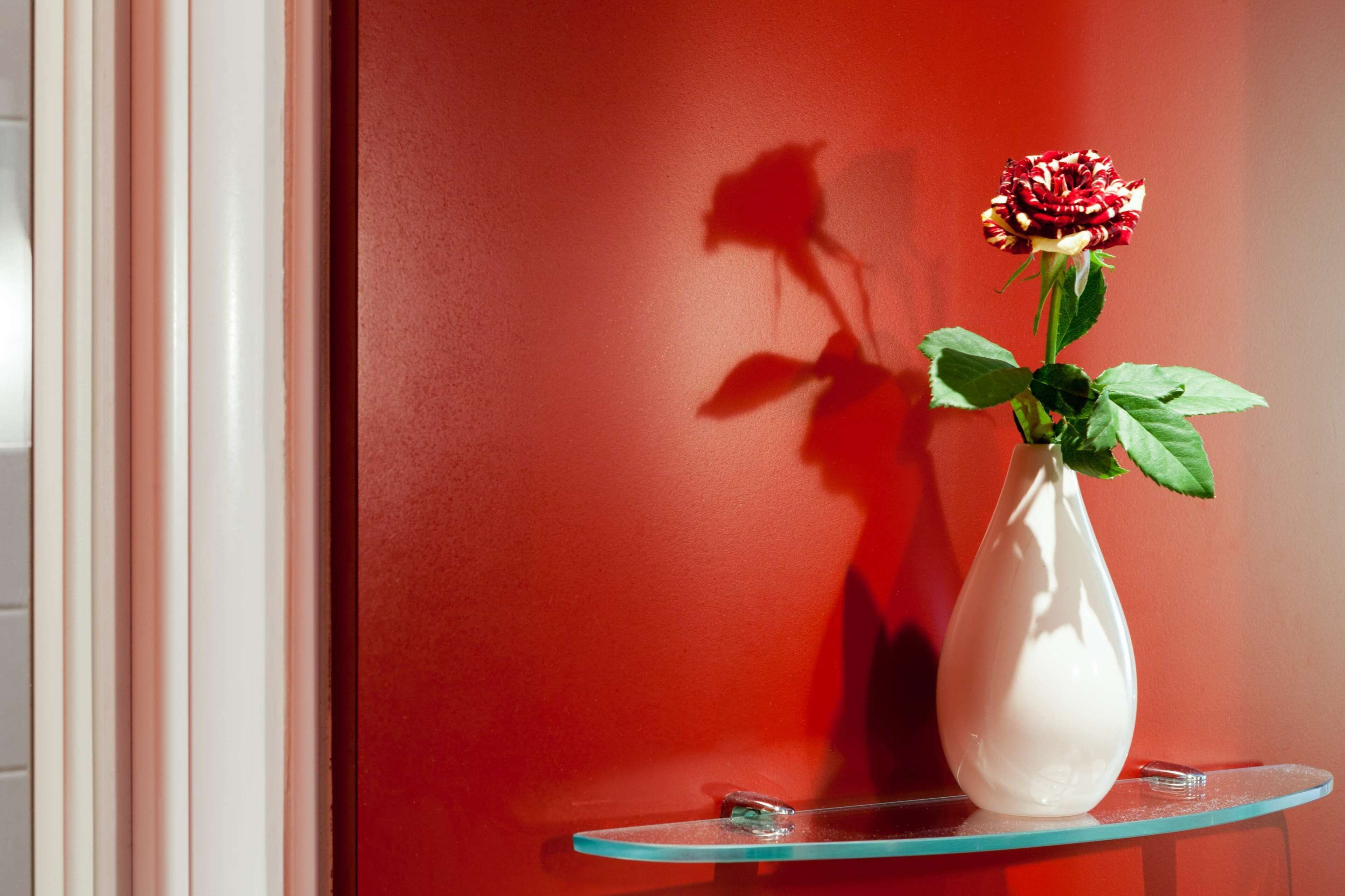 A white vase with a flower on a glass shelf against a red wall.