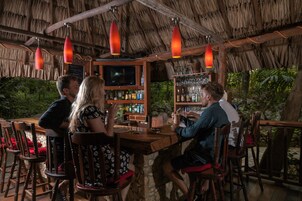 Bar (en la propiedad)