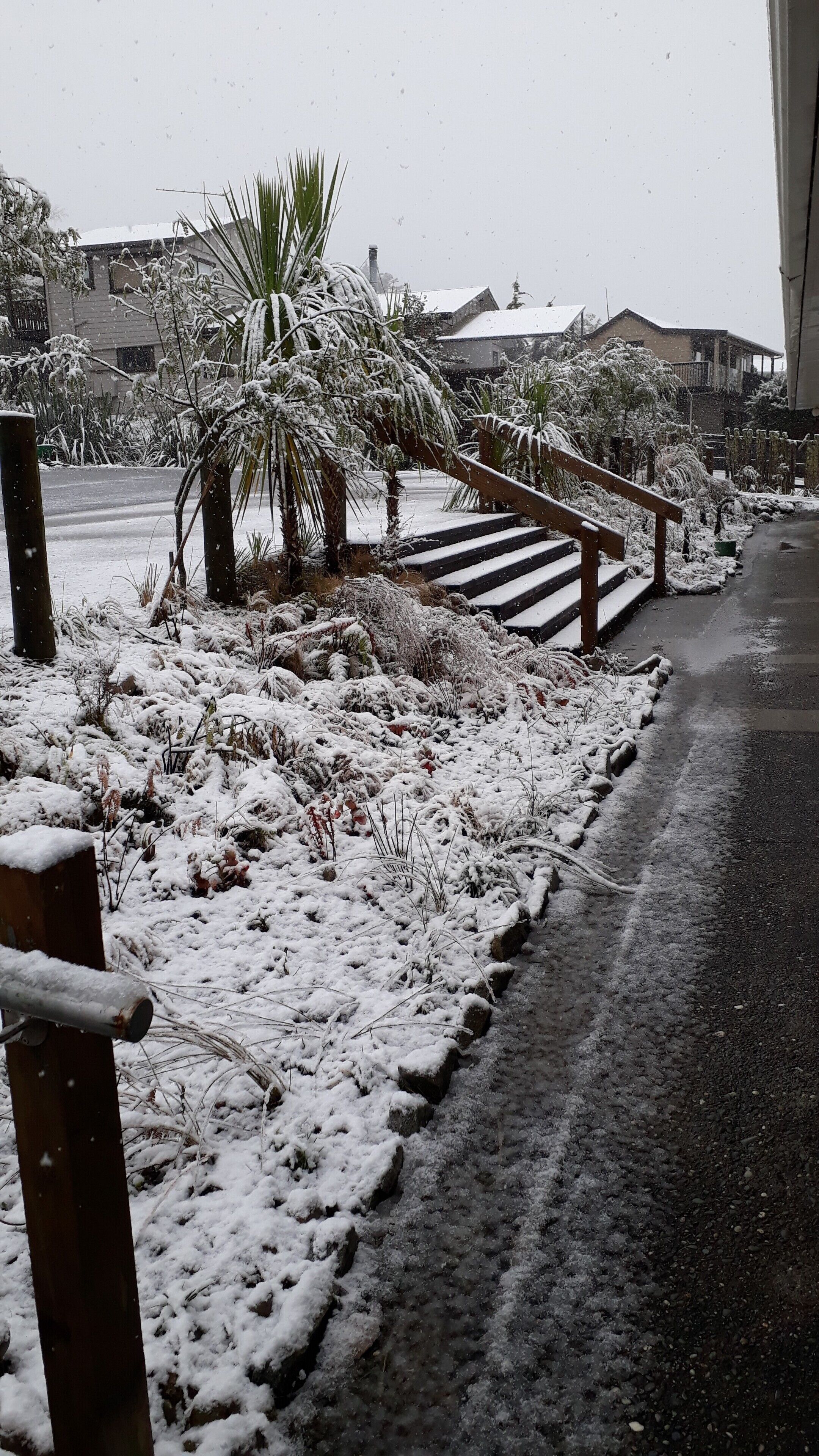 Family Studio, 1 Bedroom, Kitchen, Lake View | View from room