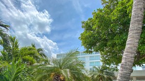 A landscaped garden with palm trees and red flowers, a paved walkway, and a building in the background. - Hotel Tamacá Beach Resort (Santa Marta)