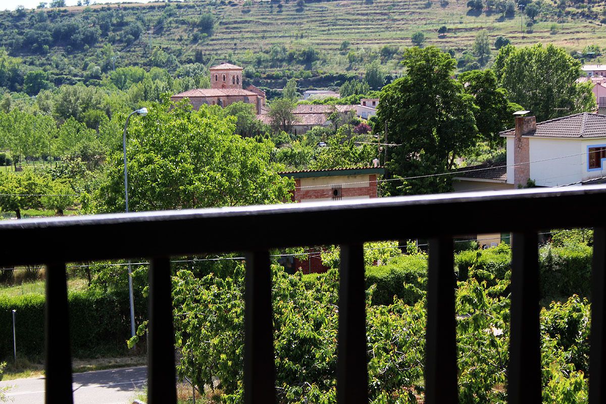 A rural landscape with vineyards, a church, and residential buildings.