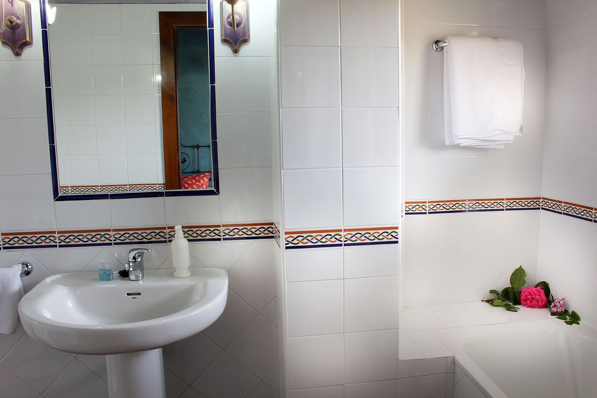 double room single use | bathroom | combined shower/bathtub, hair dryer, bidet, towels