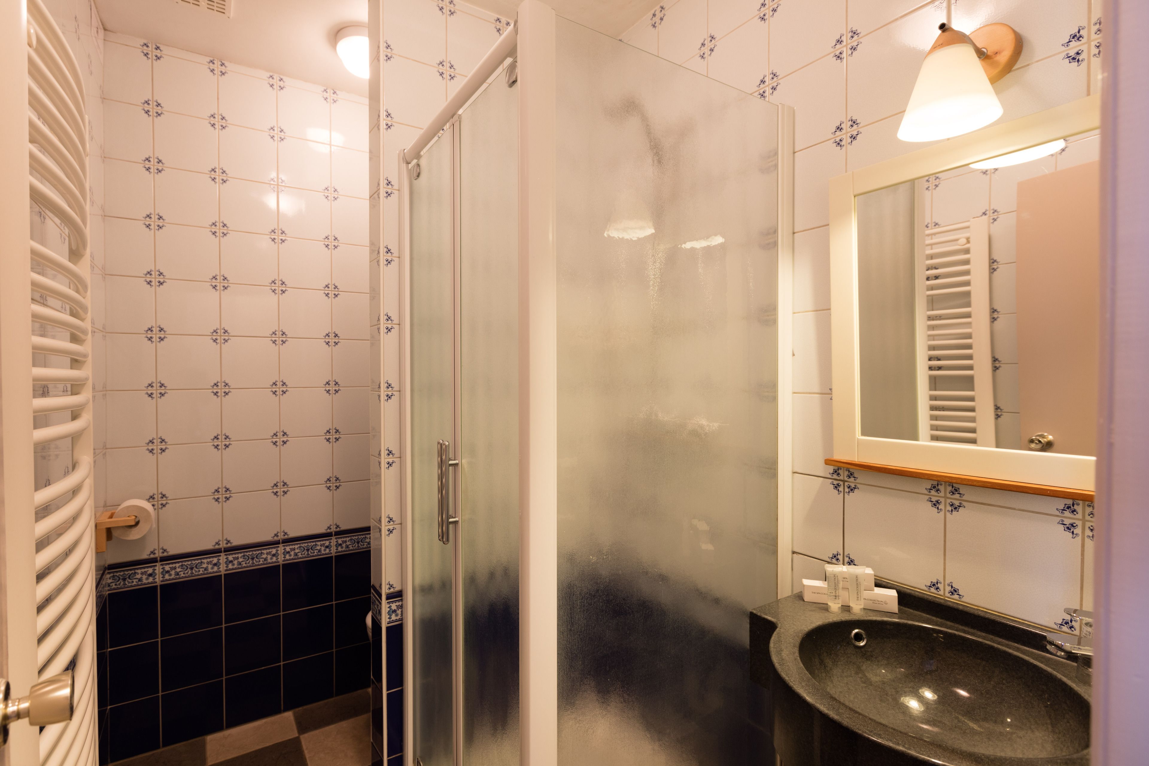 standard room | bathroom shower