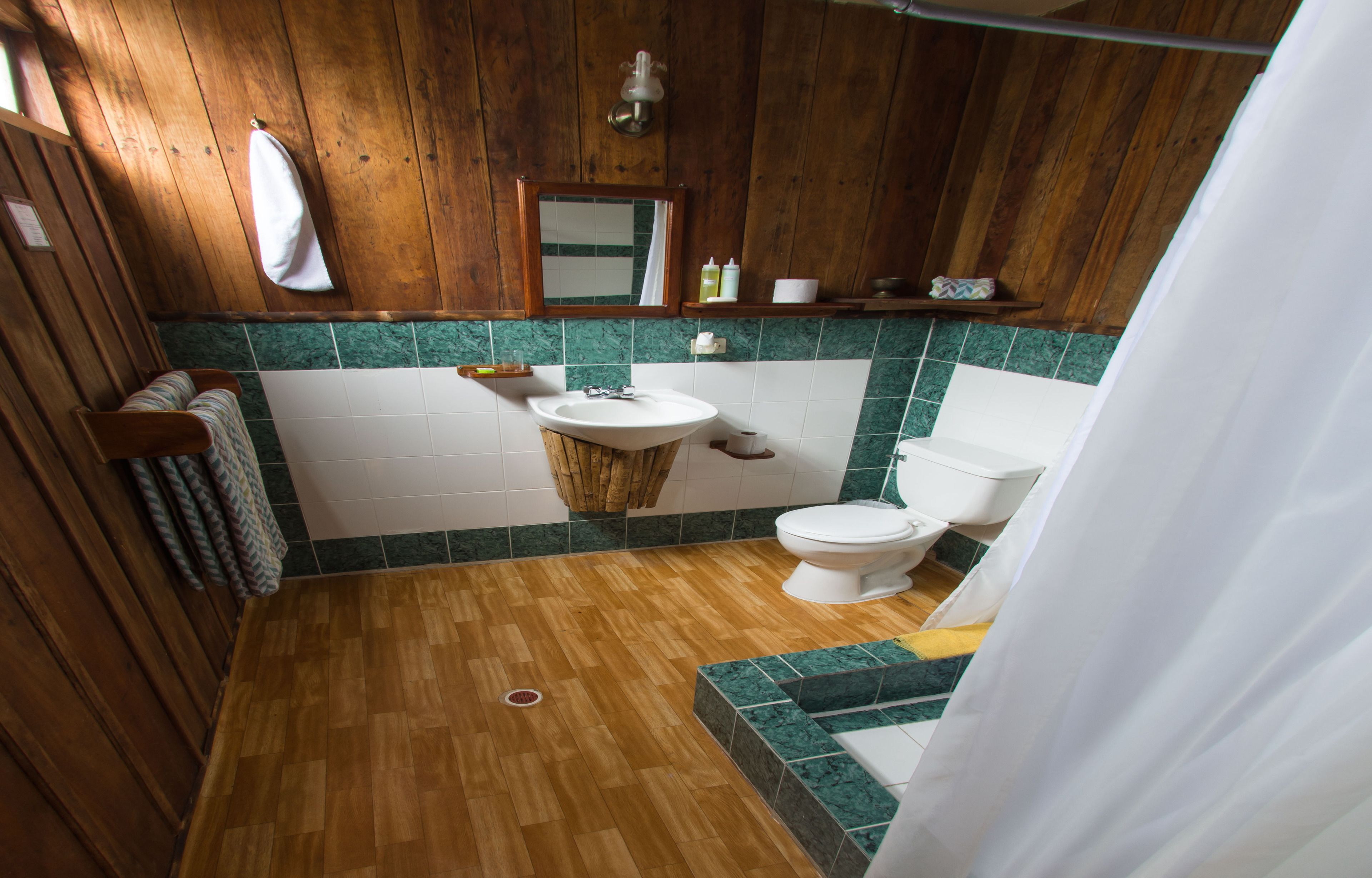 combined shower/bathtub, free toiletries, hair dryer, towels