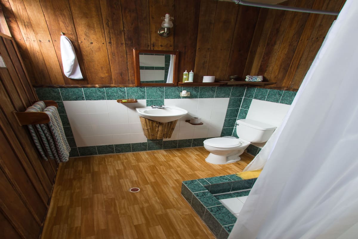 combined shower/bathtub, free toiletries, hair dryer, towels