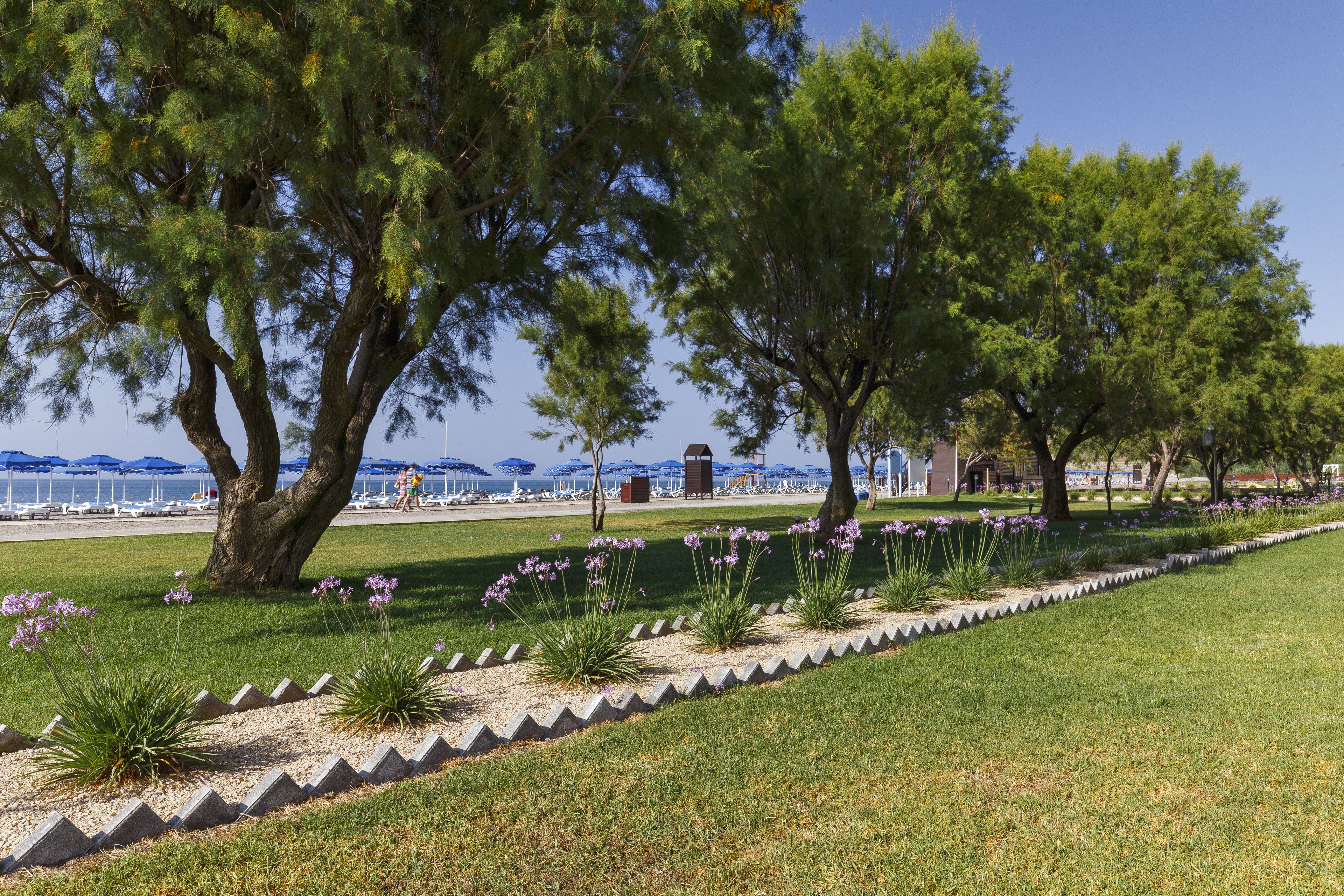 Een aangelegd gebied met bomen, een gazen pad en uitzicht op een strand met parasols.