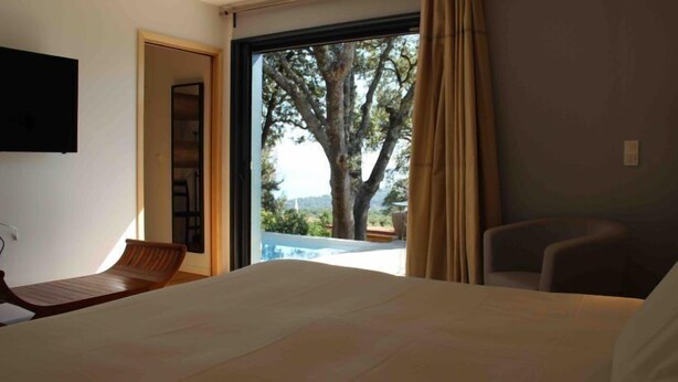 A hotel room with a bed, a chair, a TV, and a large window with a view of trees and a pool. - Les Hauts de Porto Vecchio (Porto-Vecchio)