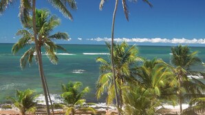 Una playa con palmeras y vista al océano.