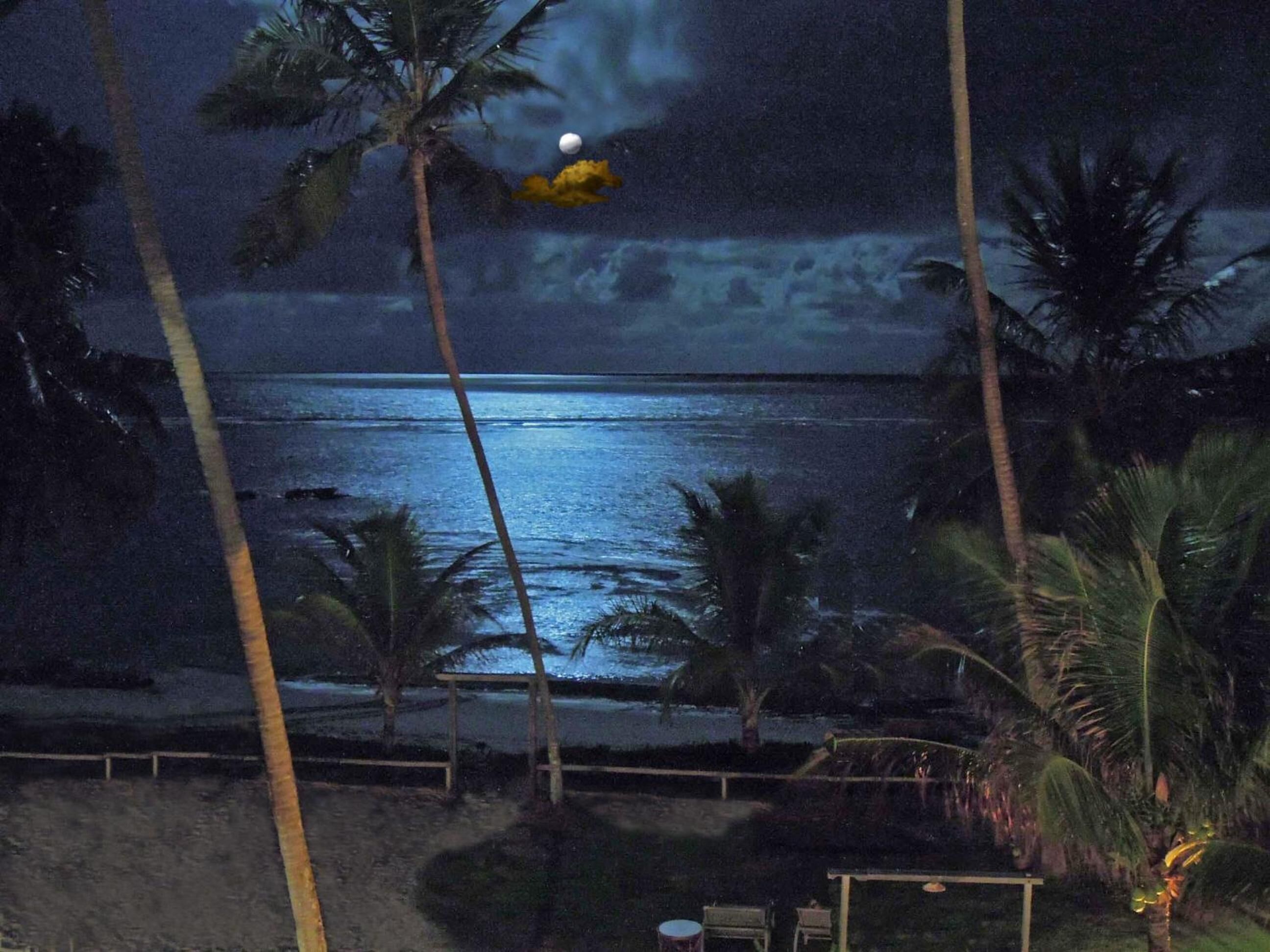A nighttime beach scene with palm trees and a view of the ocean.