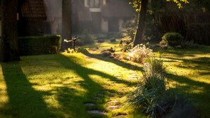 A well-maintained garden with a stone pathway leading to a traditional house. - Park Hotel Drevny Grad (Lviv)