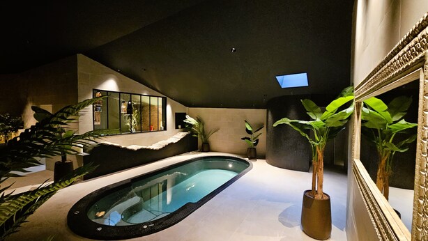 A modern indoor pool with a glass enclosure, surrounded by potted plants and a stone ledge.