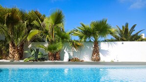 A swimming pool with clear blue water, surrounded by palm trees and a white wall.