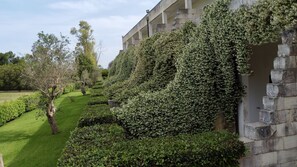 Exterior - Agriturismo Masseria Del Bosco (Melendugno)
