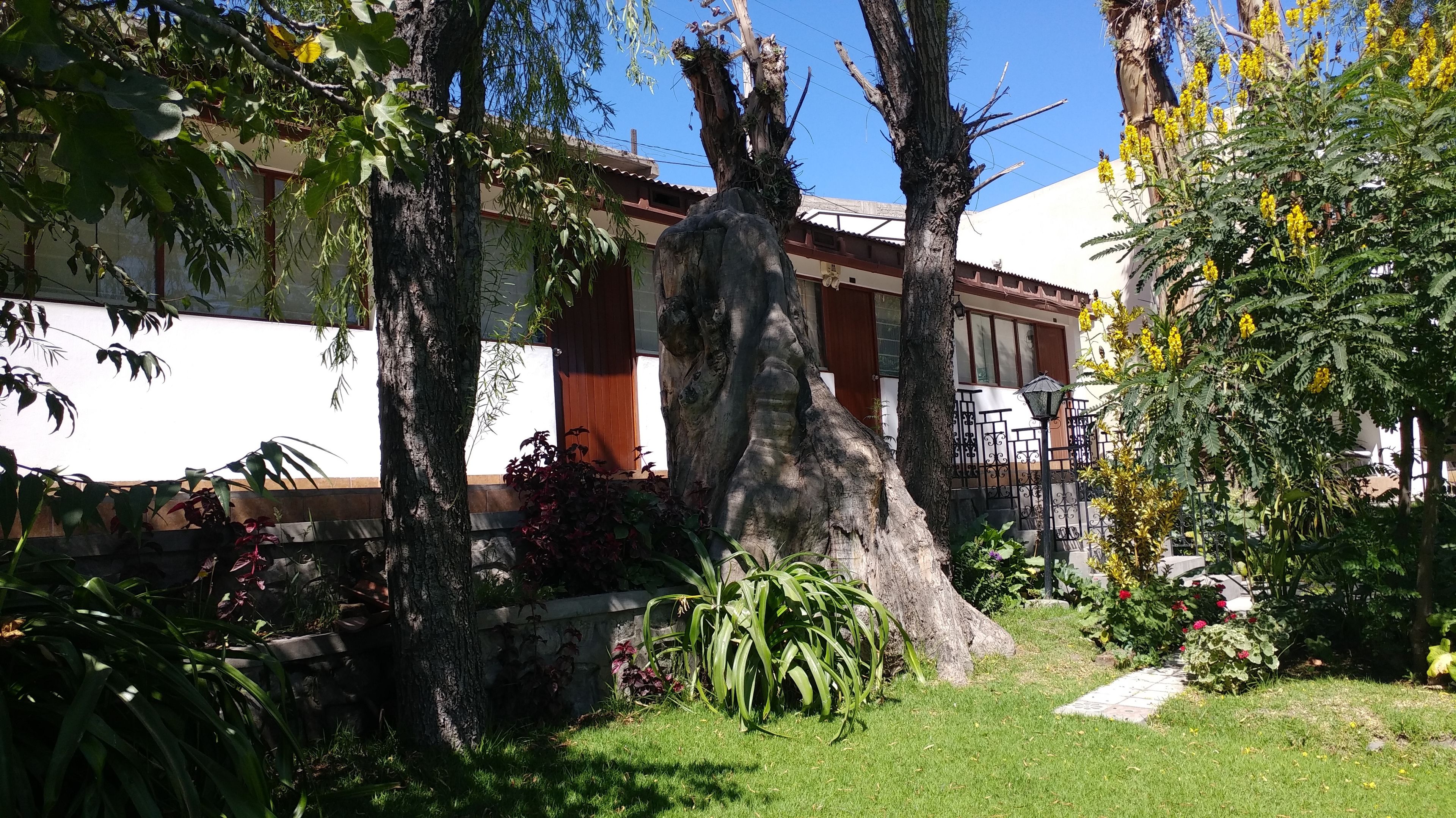 superior bungalow | view from room