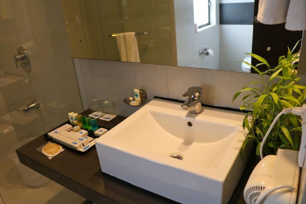 Un baño moderno con un lavabo blanco, un espejo, cabina de ducha con mampara de vidrio y una planta pequeña en la encimera.