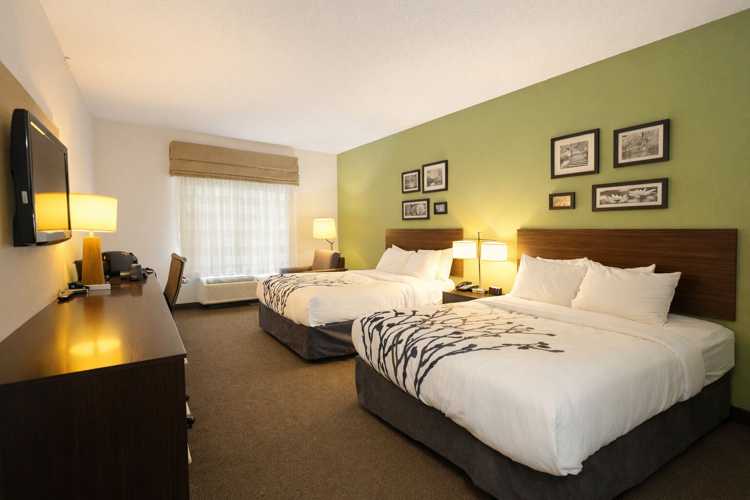 Habitación básica doble | Caja de seguridad en la habitación y escritorio 