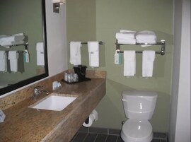 Combined shower/tub, free toiletries, hair dryer, towels