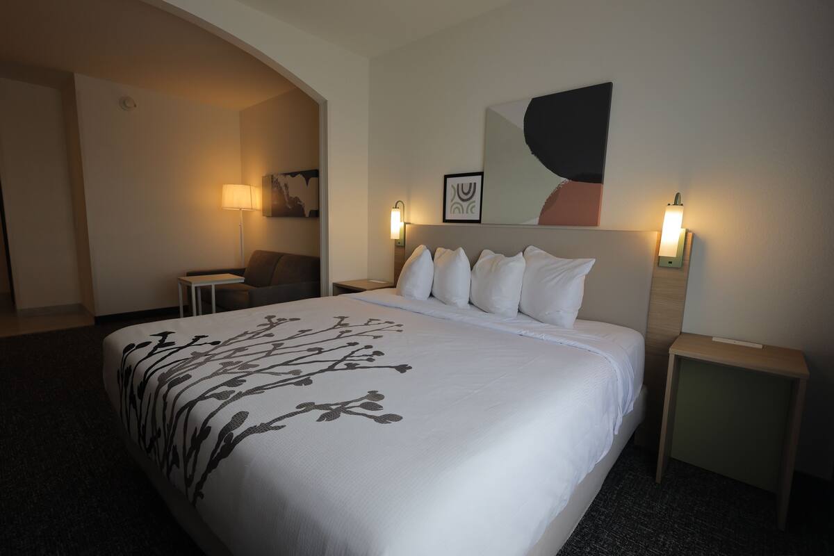 Comfort Studio Suite | In-room safe, desk, laptop workspace, iron/ironing board