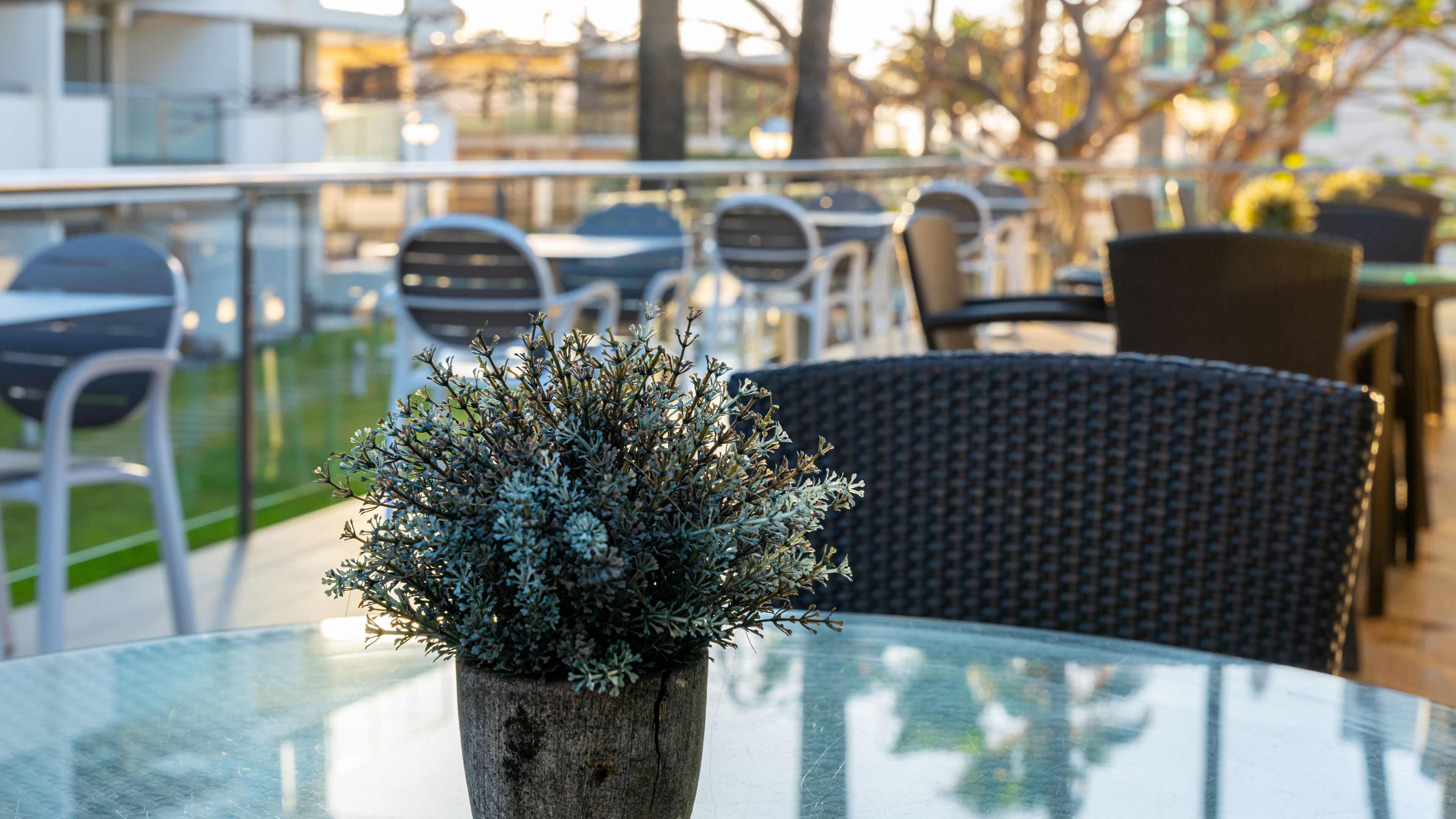A glass table with a potted plant, wicker chairs, and a railing in a cafe setting.