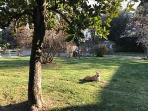 Jardines del alojamiento