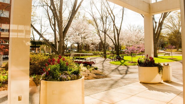 A covered outdoor area with large planters, trees, and a pathway. - The University of Georgia Center for Continuing Education & Hotel (Athens)