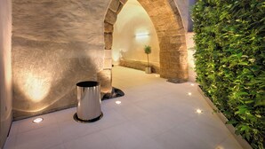 Un pasillo interior con un arco de piedra, una pared verde y un pequeño árbol.