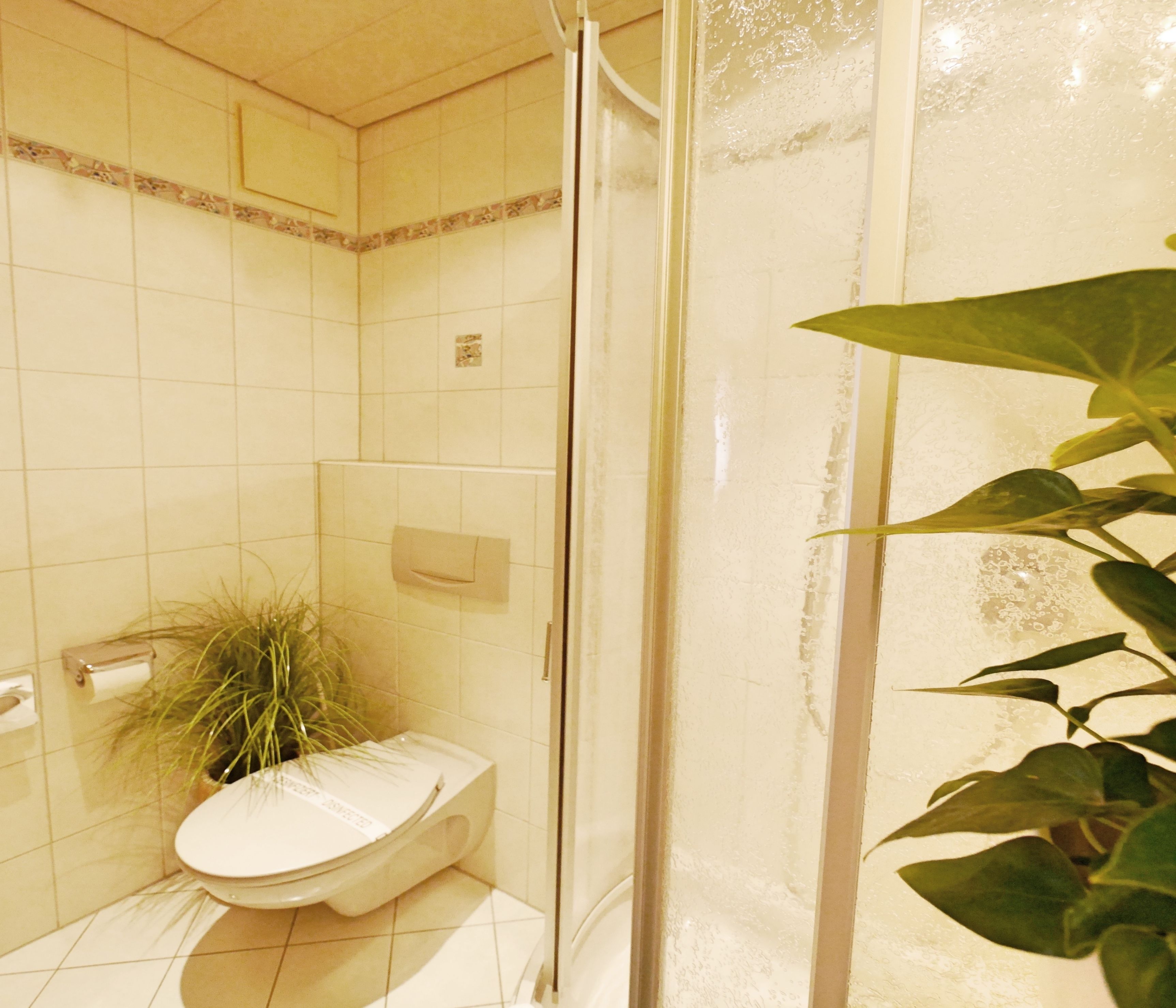 Un baño con inodoro, ducha y una planta en maceta.