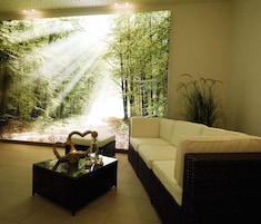 Un sauna, baño turco