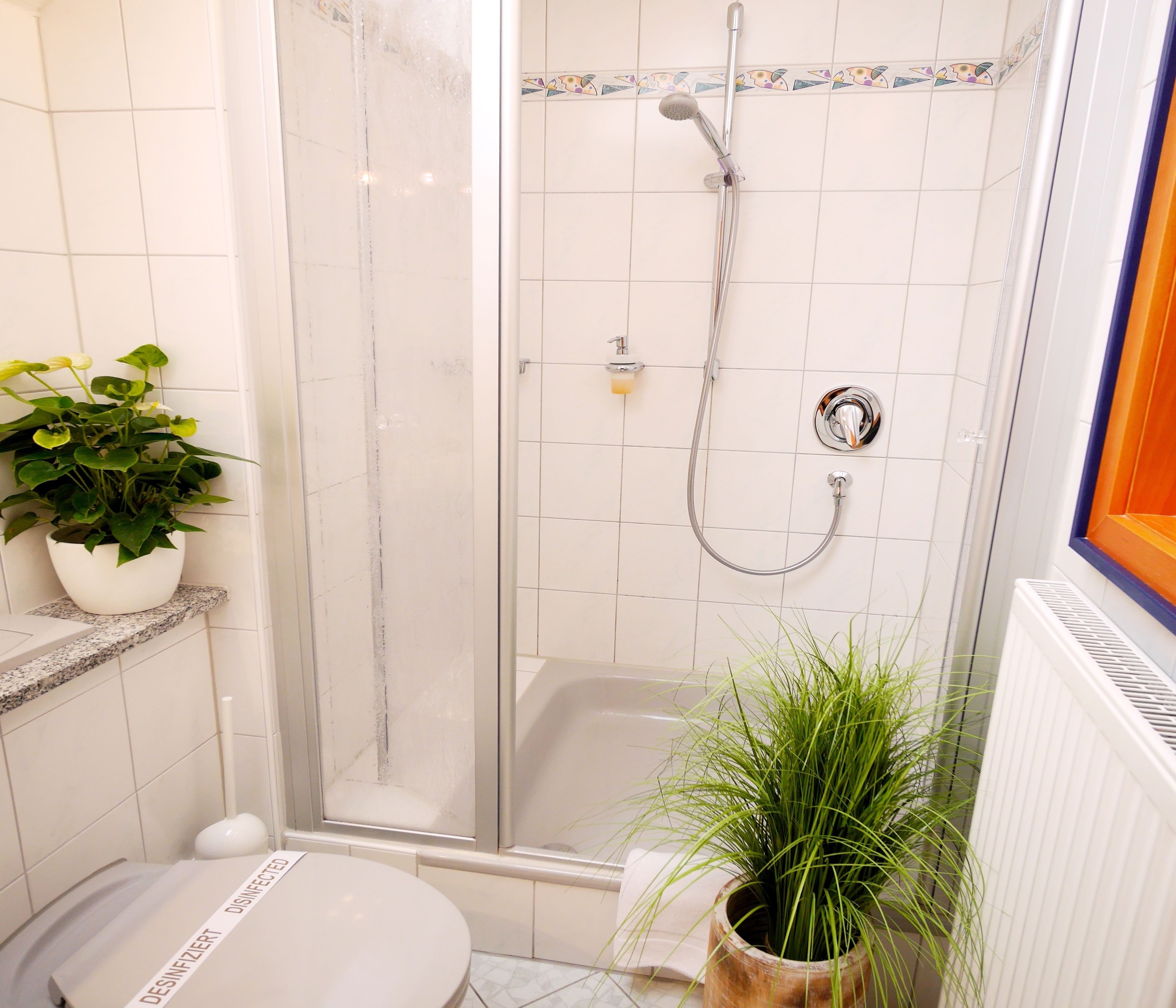 A shower with a handheld showerhead, a bathtub, and a toilet. There are potted plants on the floor.