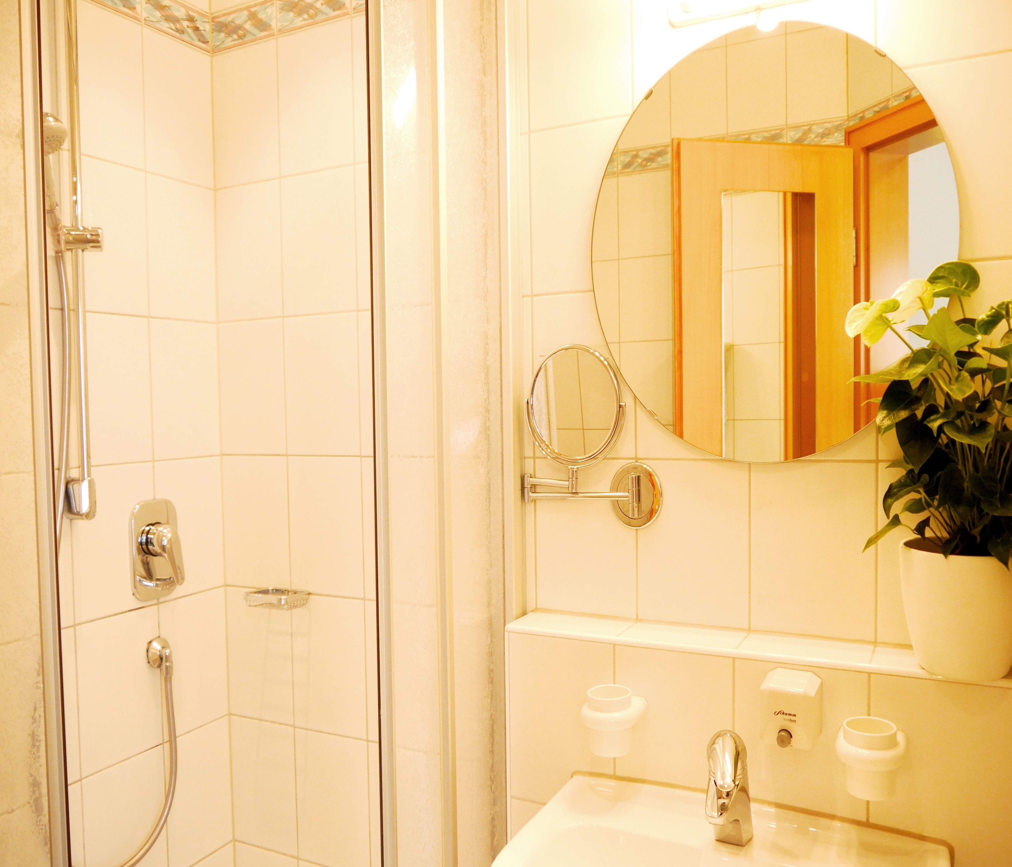 A bathroom with a shower, a sink, a mirror, and a potted plant.
