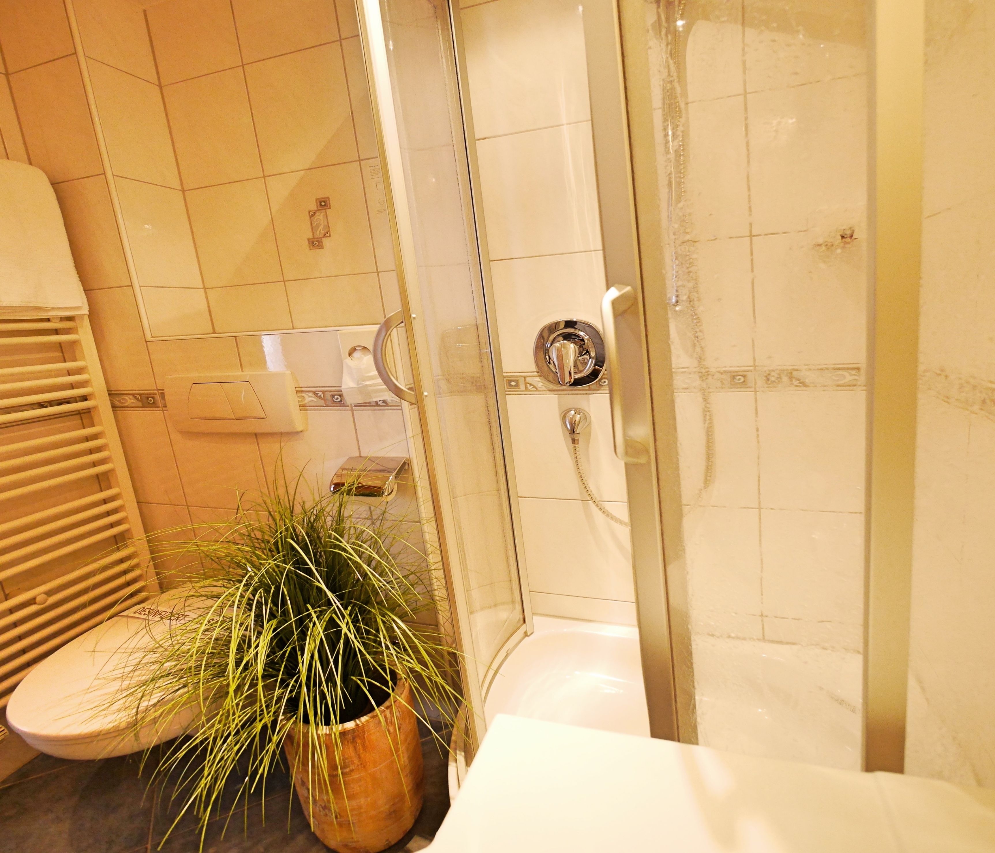 A bathroom with a glass-enclosed shower, a toilet, and a potted plant.
