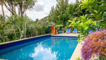 Outdoor pool, sun loungers