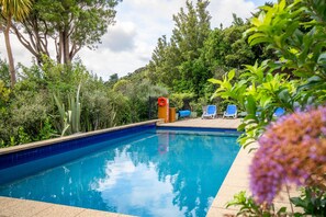 Outdoor pool, sun loungers