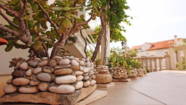 A row of potted plants with rocks at the base, arranged along a tiled pathway. - Apartmani Ivanovic (Hvar)
