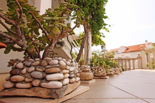 Detalle del exterior