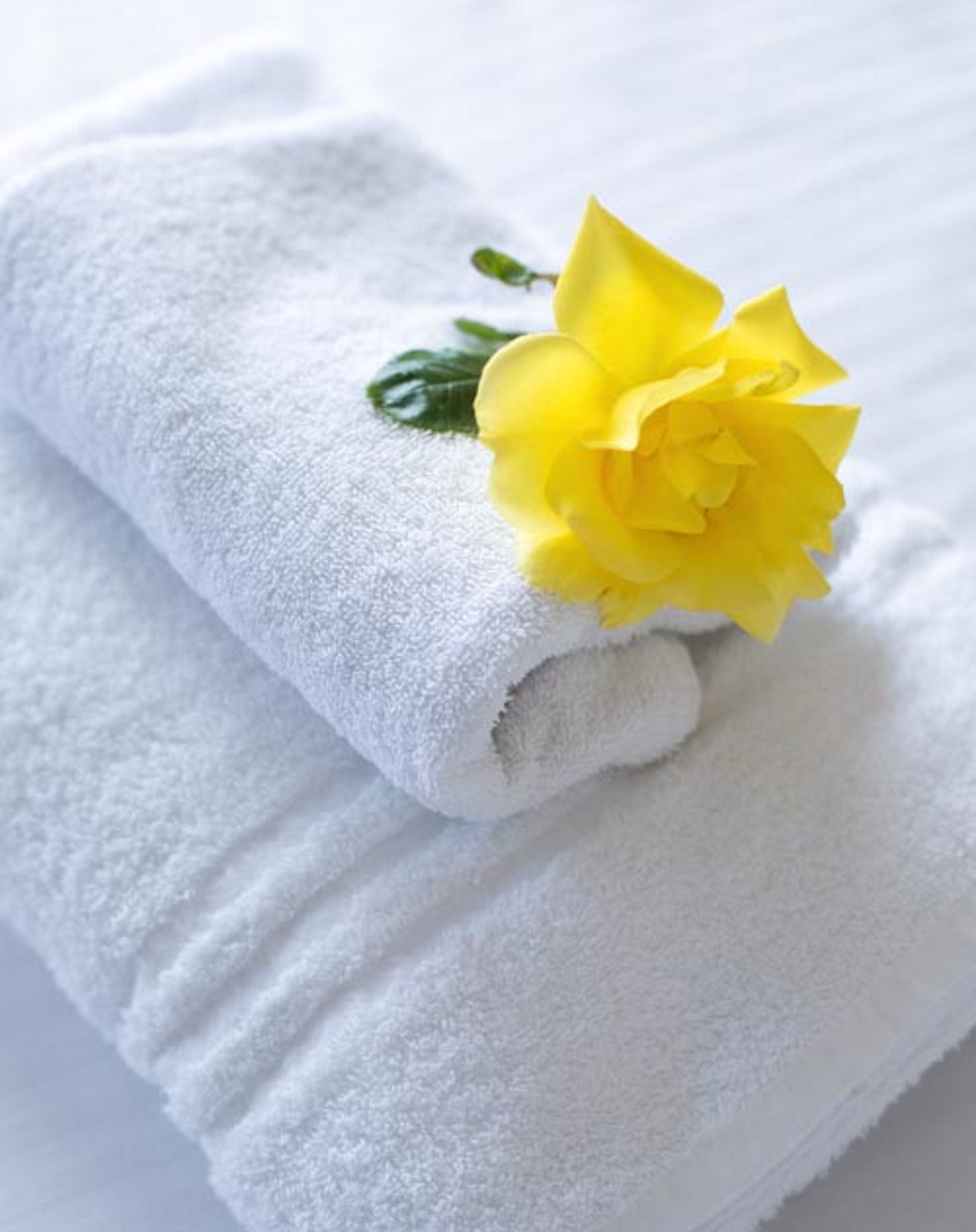 Photo - Pentire Newquay Cornwall Hotel