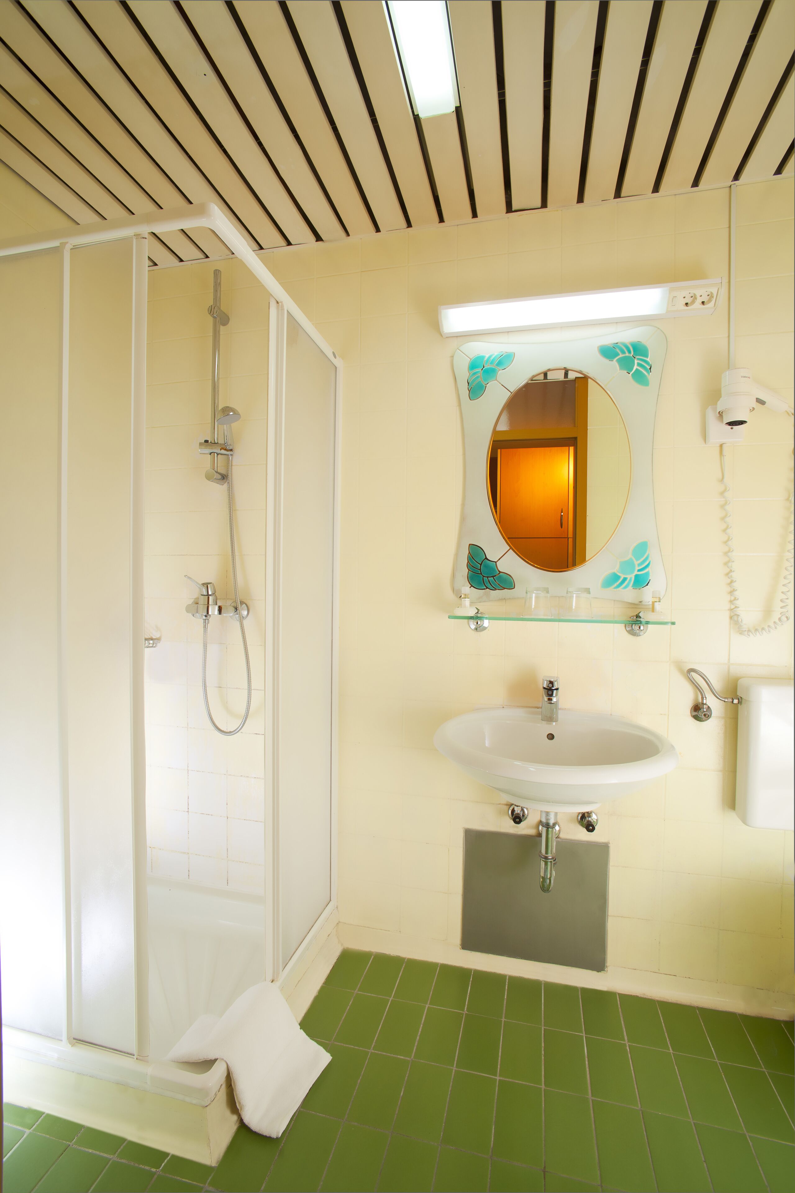Une salle de bain avec une douche, un lavabo et un miroir.