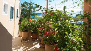 Uma área externa coberta com plantas em vasos e vista para o mar.