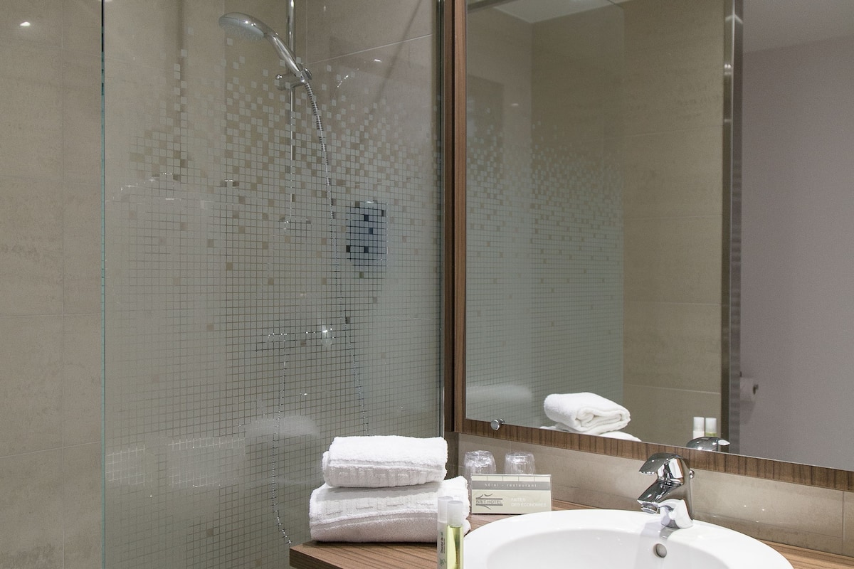 shower, free toiletries, hair dryer, towels