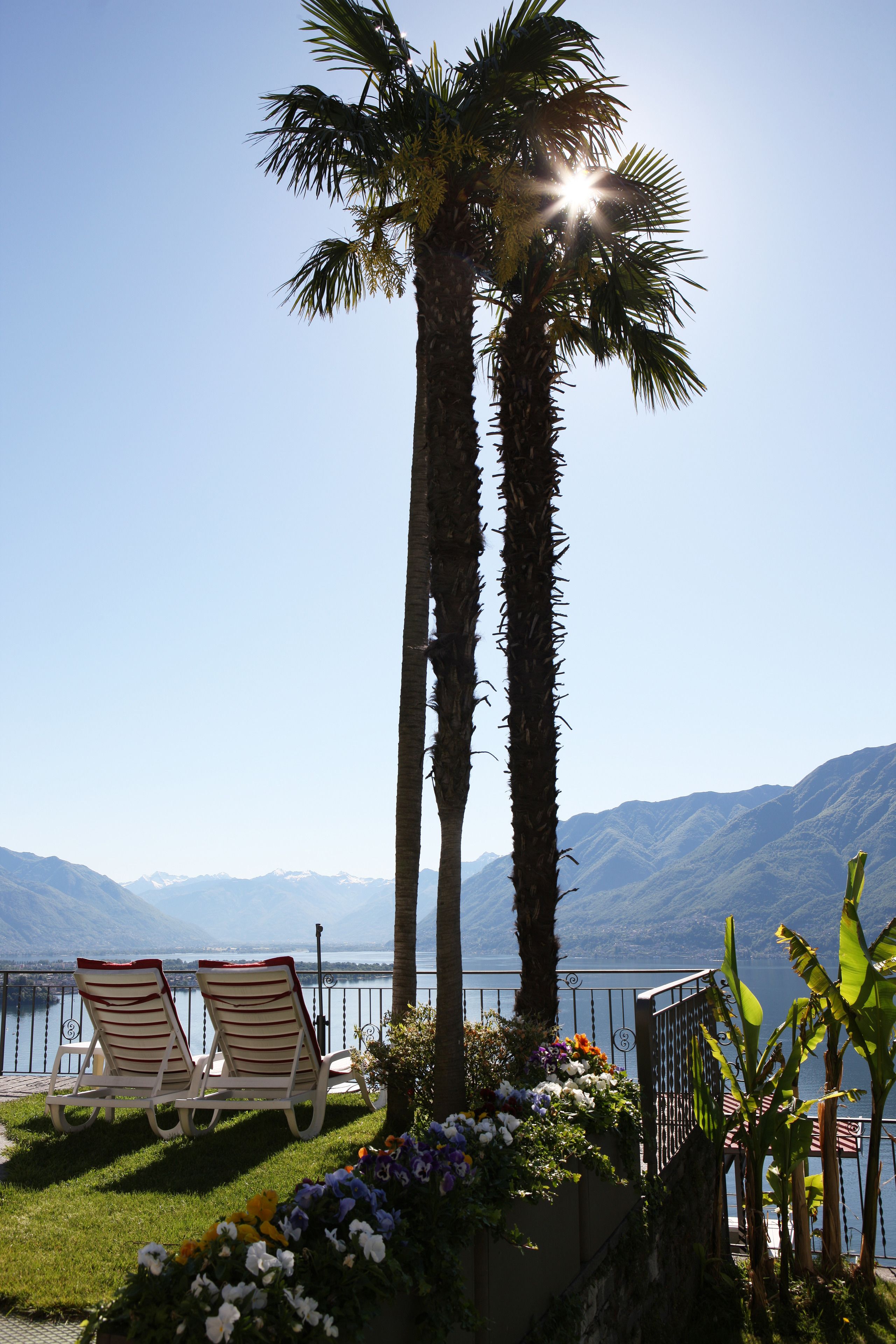seasonal outdoor pool, pool loungers