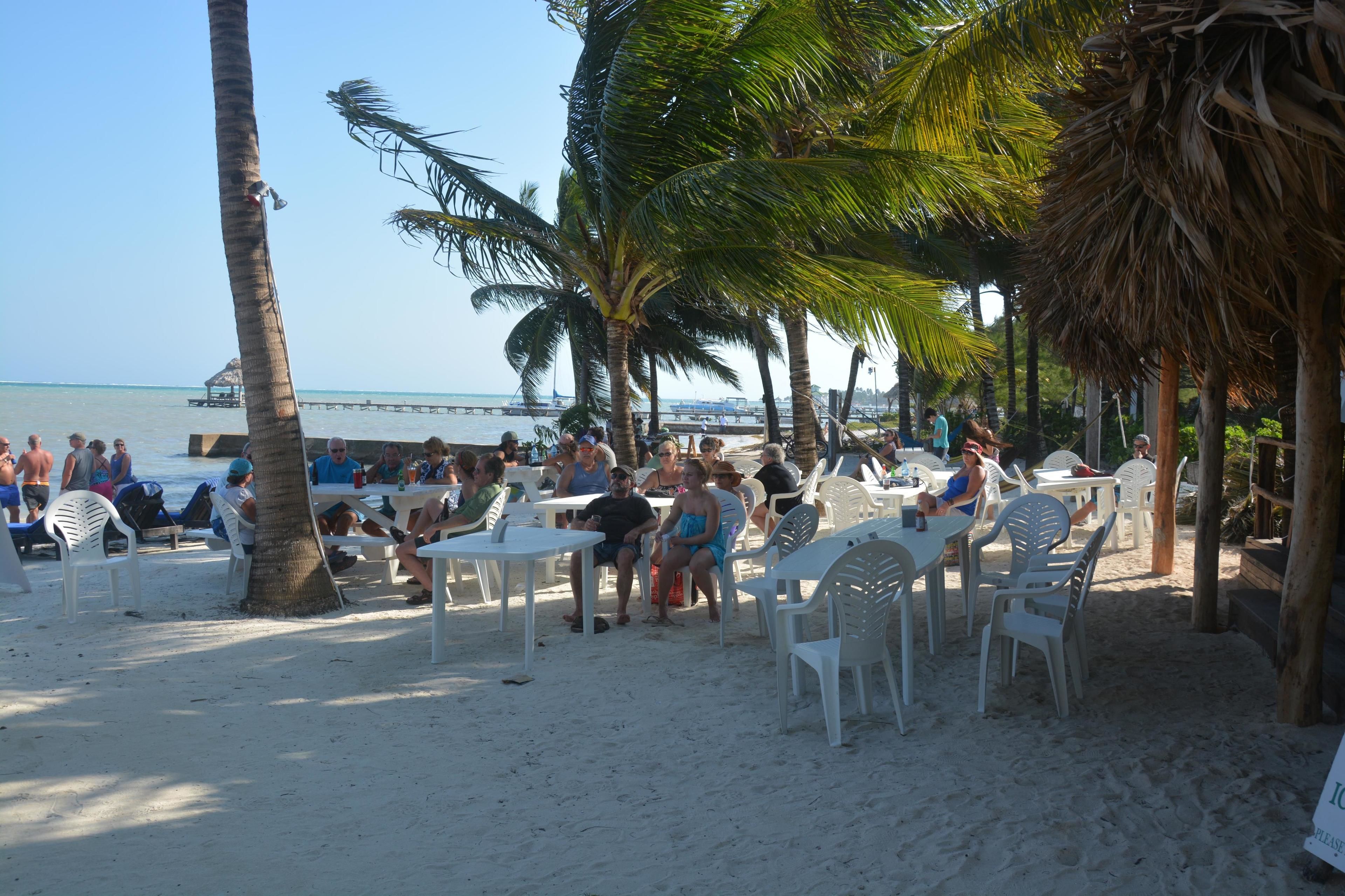 A beachside restaurant with outdoor seating, palm trees, and a view of the ocean.
