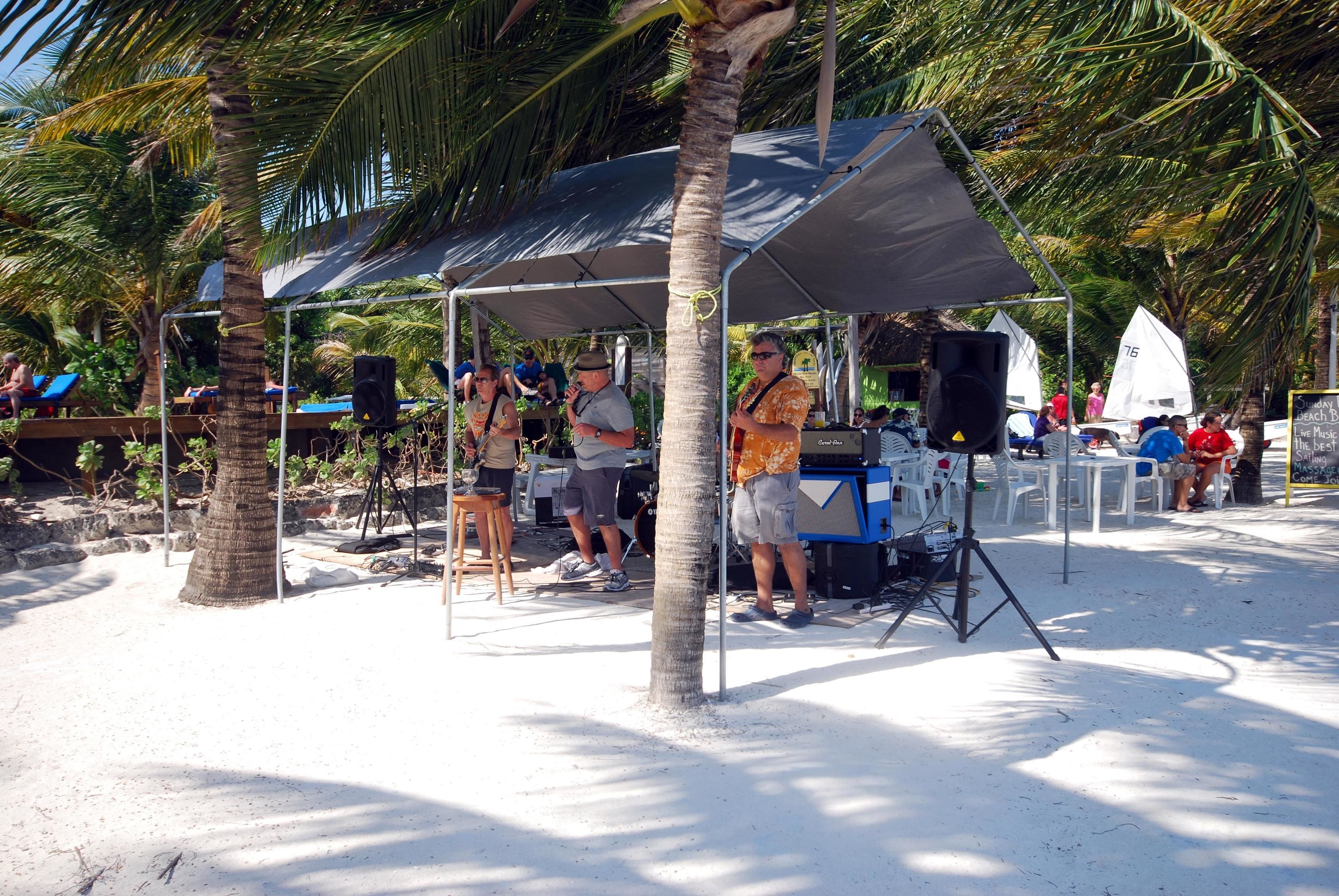 A beachside event with a tent, palm trees, and people.