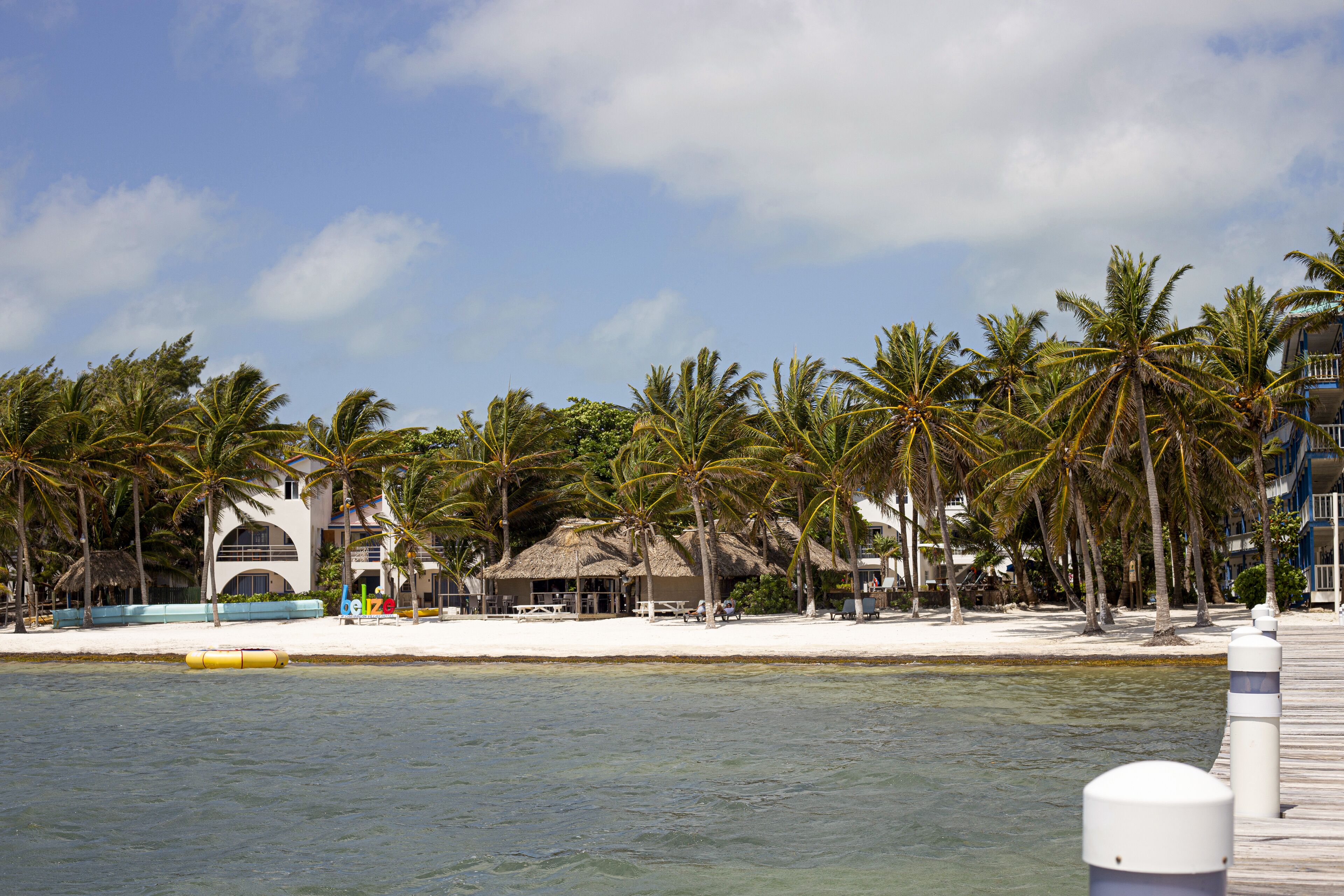 A beachside resort with palm trees, a sandy beach, and thatched-roof structures.