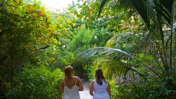 Two women walking down a path surrounded by lush greenery and palm trees.