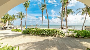 Suite, 1 Bedroom | Terrace/patio